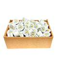 Bulk - Jasmine green tea pods Nespresso OriginalLine compatible - TEA PODS